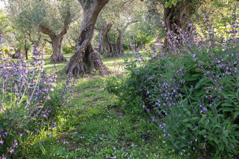 portrait photography retreats f97a1885